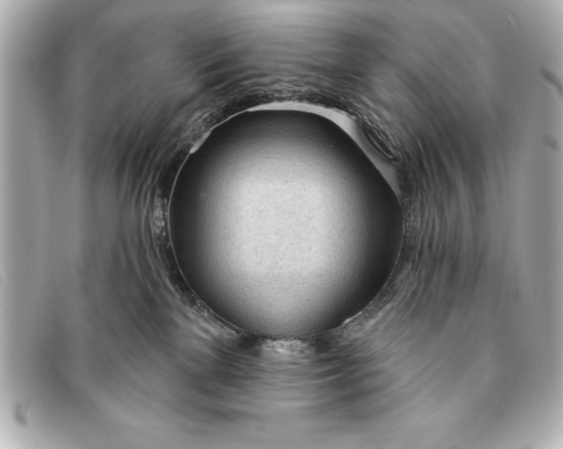 X0000093380137200710251226