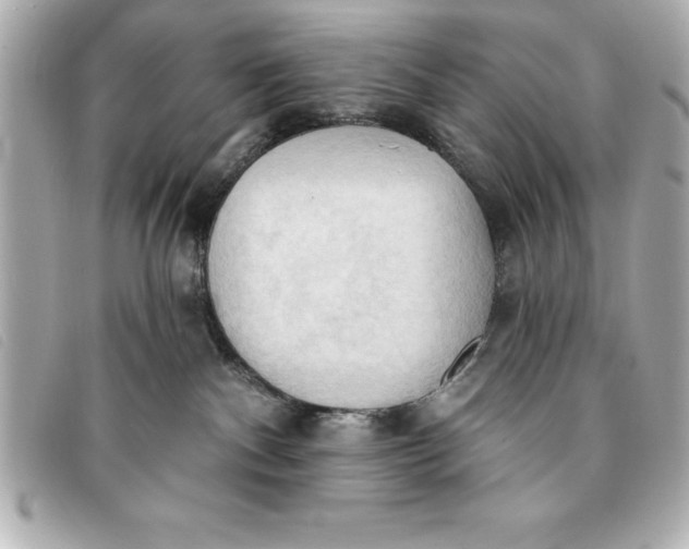 X0000093380140200710251226