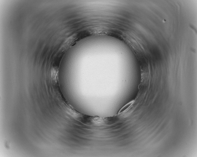 X0000093380142200710251226