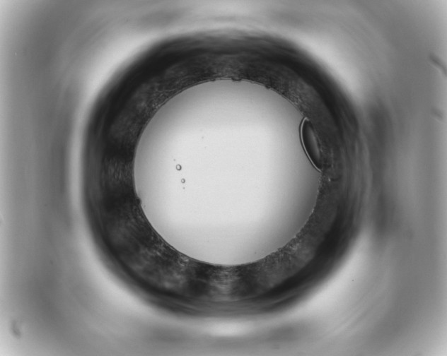 X0000093380143200710251226