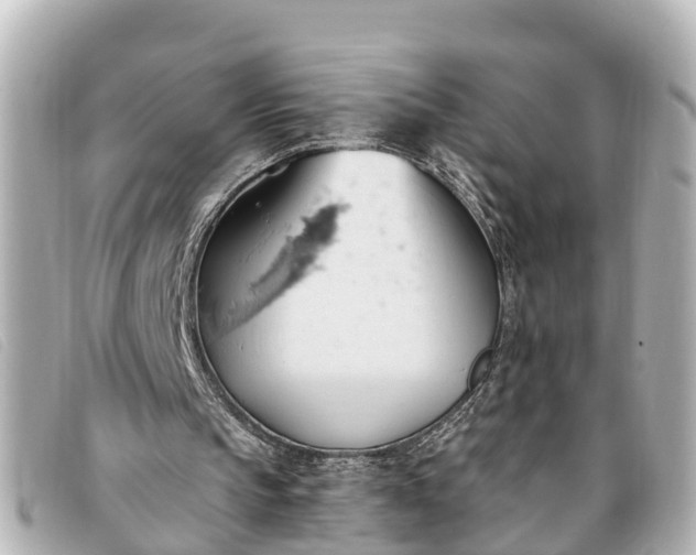 X0000093380145200710251225