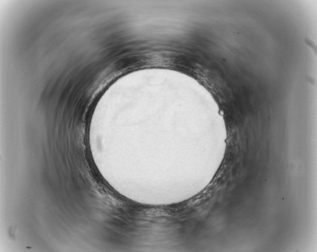 X0000093380146200710251225