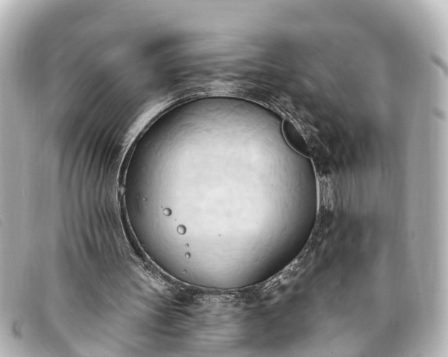 X0000093380147200710251225