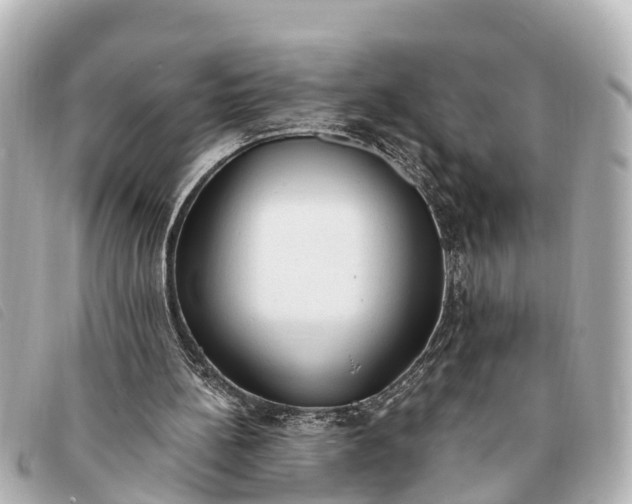 X0000093380148200710251225