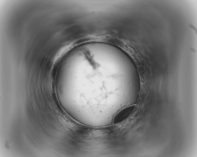 X0000093380149200710251225