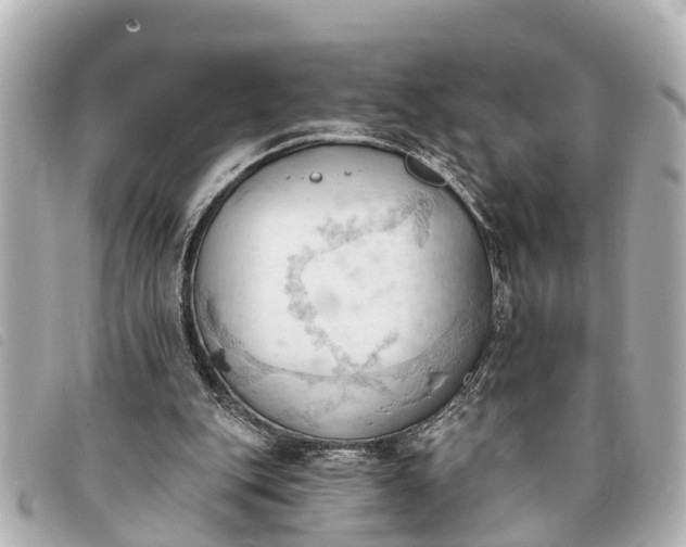 X0000093380151200710251225