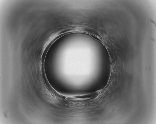 X0000093380152200710251225