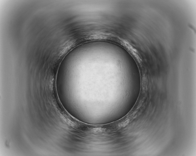 X0000093380153200710251225