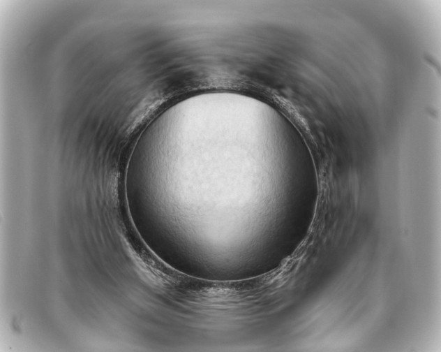 X0000093380154200710251225