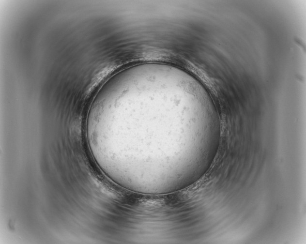 X0000093380155200710251225