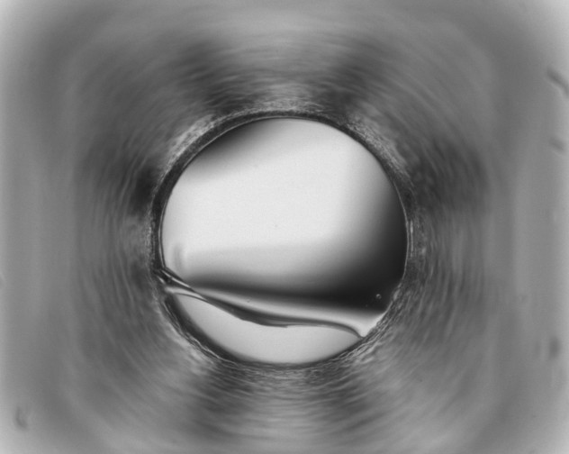 X0000093380156200710251225