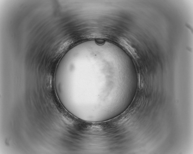 X0000093380157200710251225