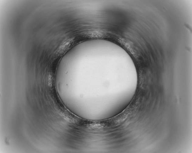 X0000093380161200710251225