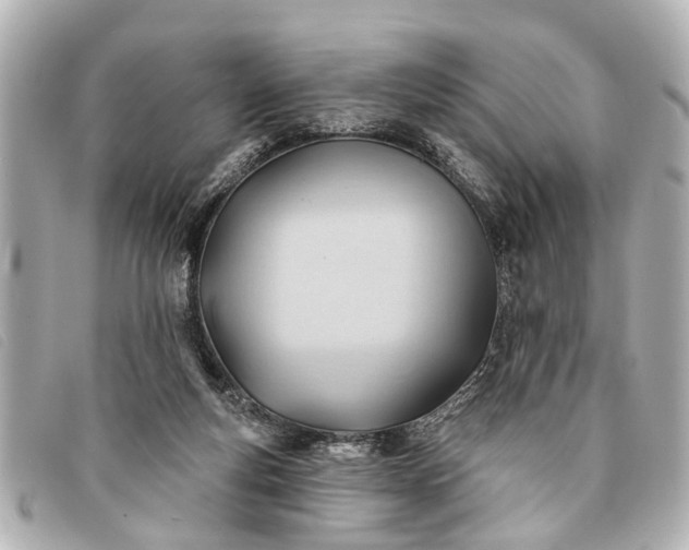 X0000093380163200710251225