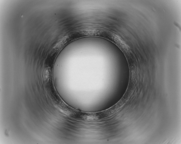 X0000093380165200710251225