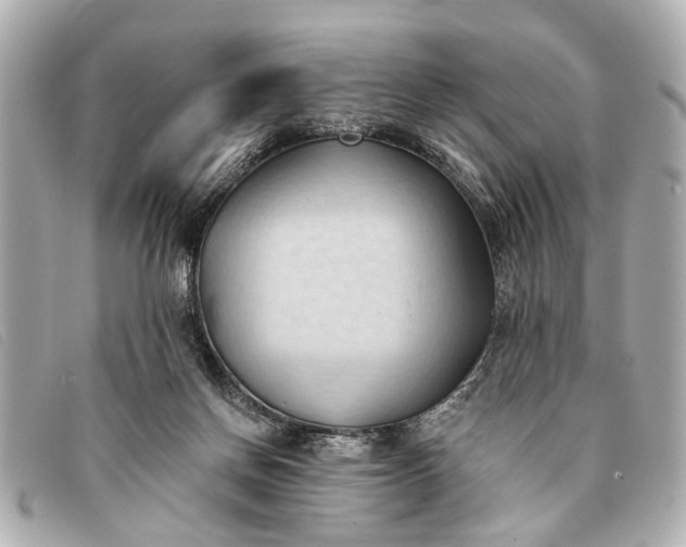 X0000093380166200710251225