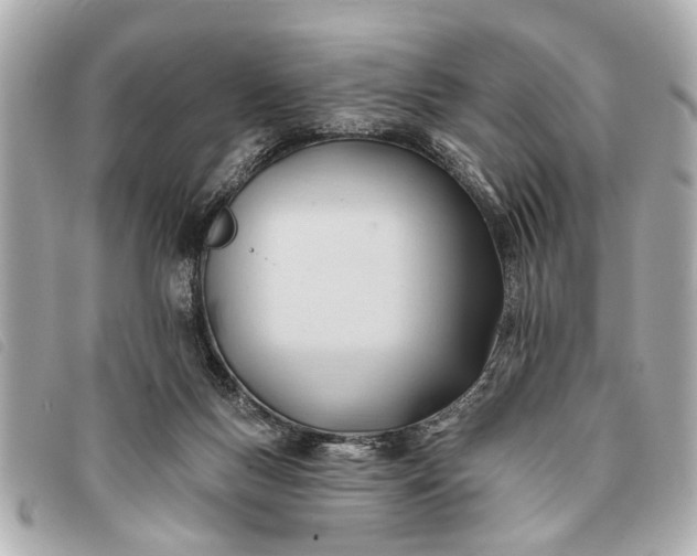 X0000093380167200710251225