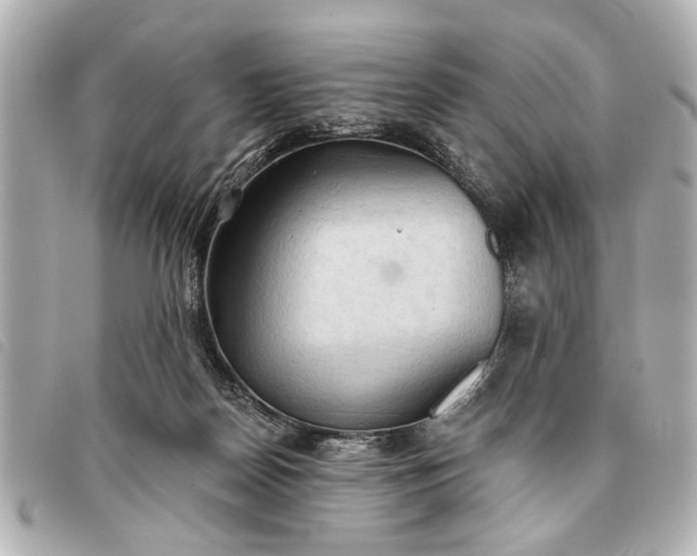 X0000093380170200710251225