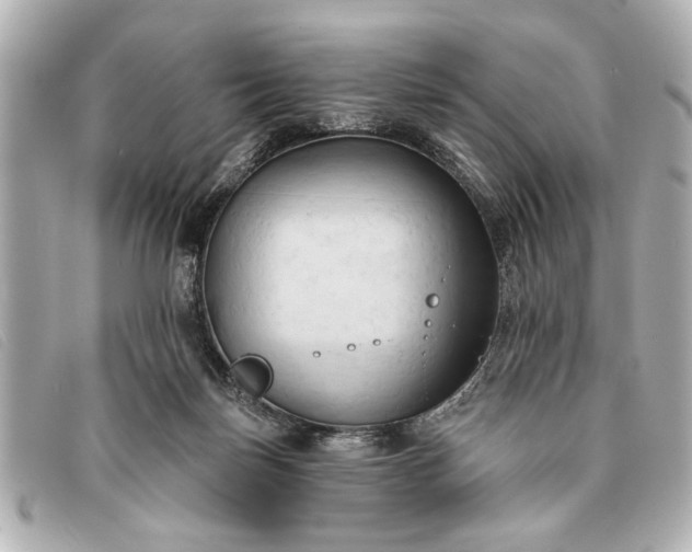 X0000093380171200710251225