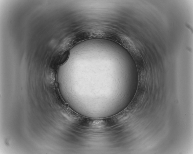 X0000093380173200710251225