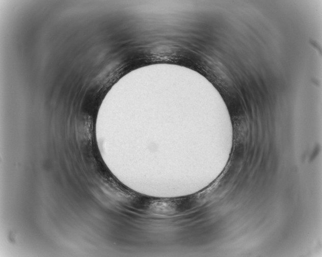 X0000093380174200710251225