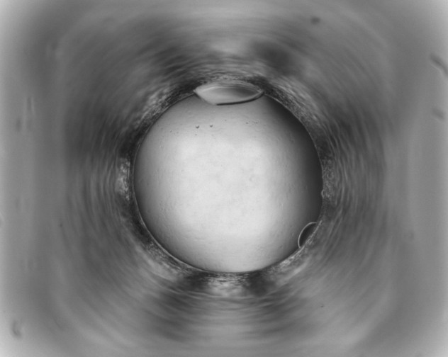 X0000093380175200710251225