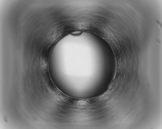 X0000093380176200710251225