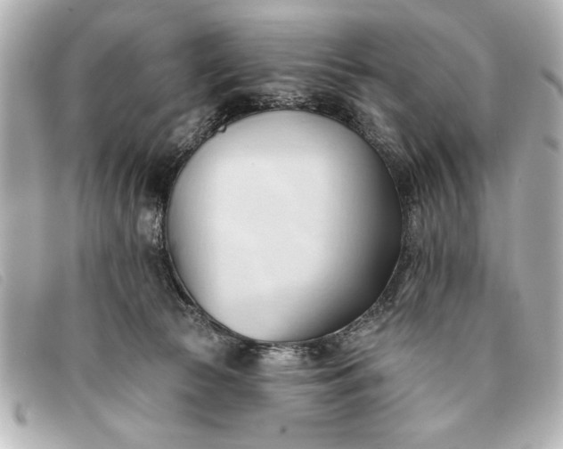 X0000093380177200710251225