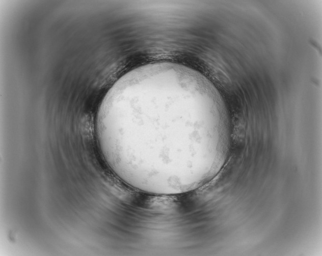 X0000093380179200710251225