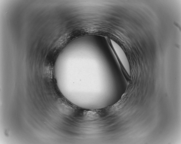 X0000093380180200710251225