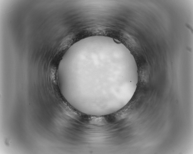 X0000093380185200710251226