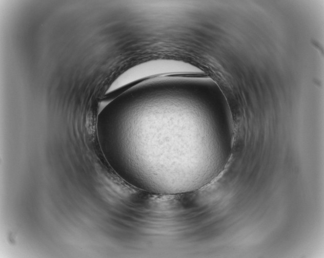 X0000093380186200710251226