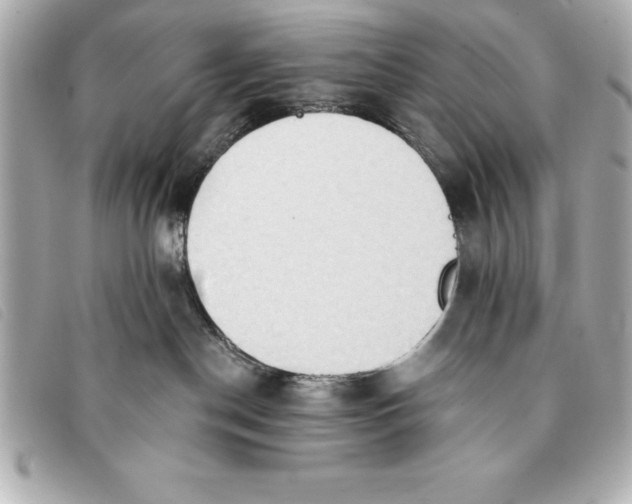 X0000093380190200710251226