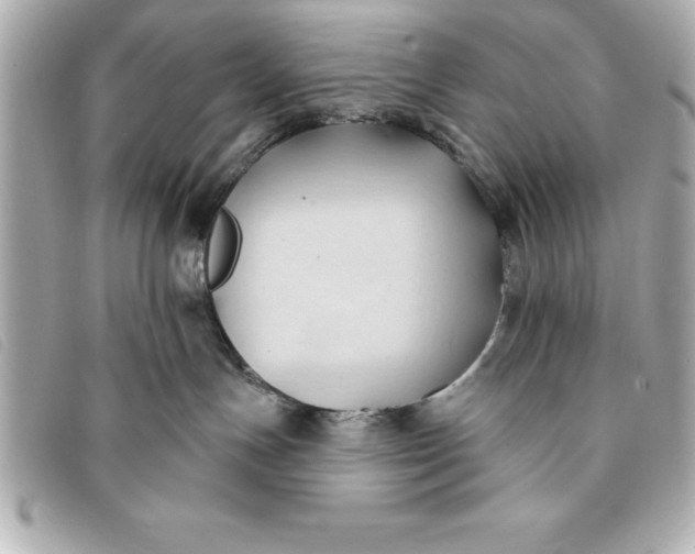 X0000093380191200710251226