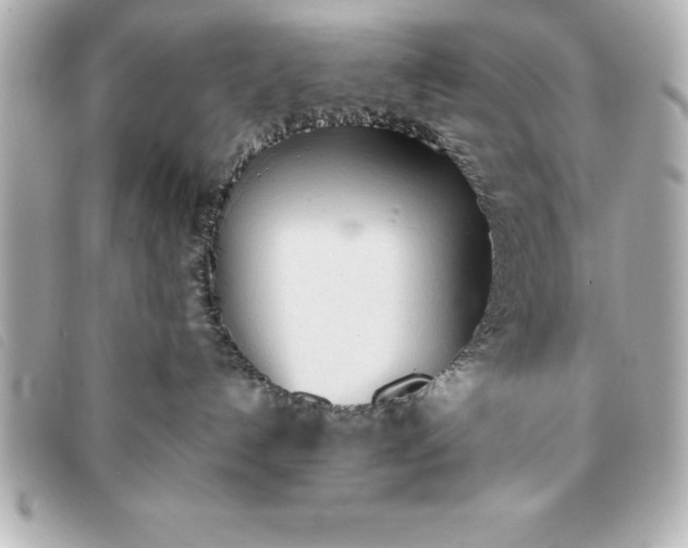 X0000093380192200710251226