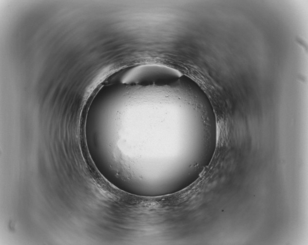 X0000093380195200710251225