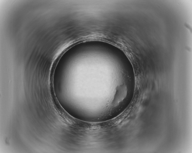 X0000093380196200710251225