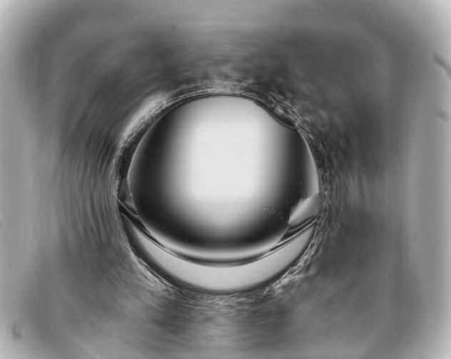 X0000093380197200710251225