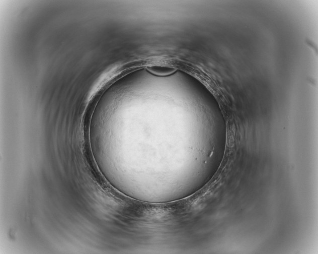 X0000093380198200710251225