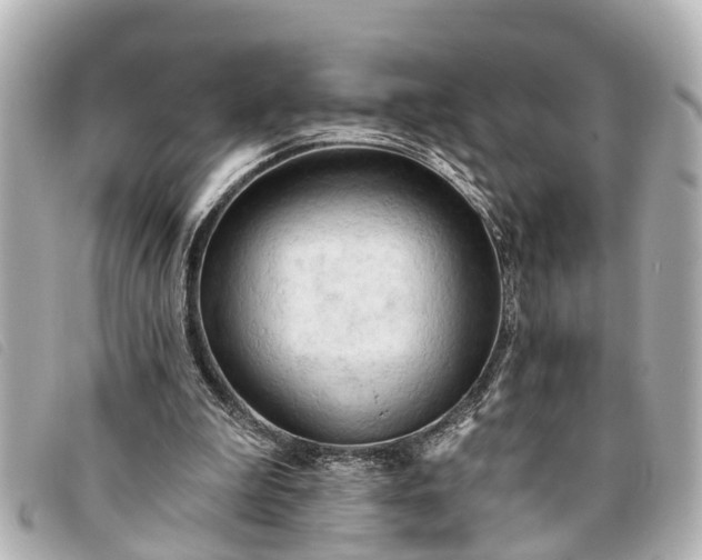 X0000093380199200710251225