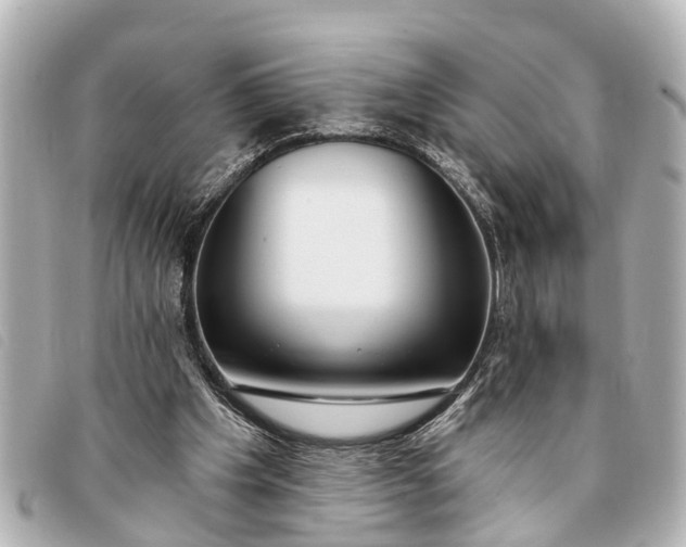 X0000093380201200710251225