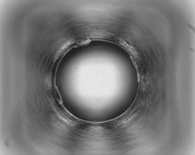 X0000093380203200710251225