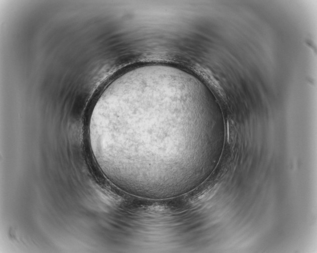 X0000093380204200710251225