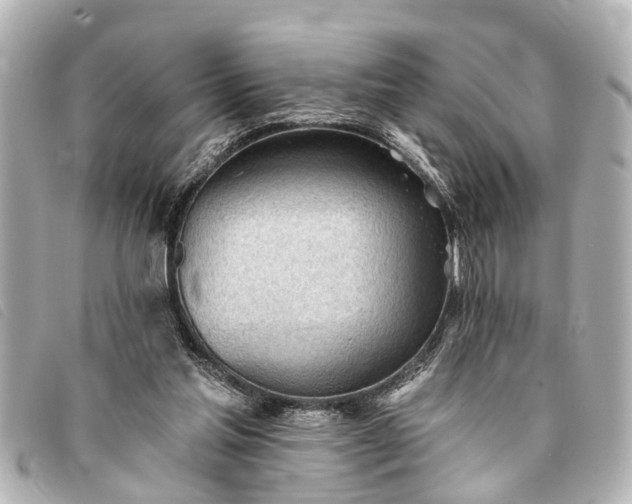 X0000093380205200710251225