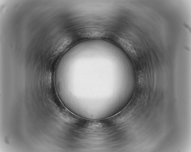 X0000093380206200710251225