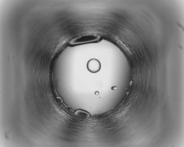 X0000093380207200710251225