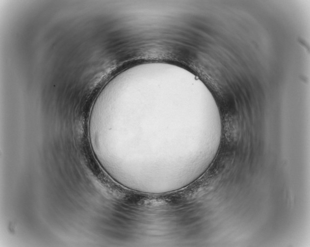 X0000093380208200710251225