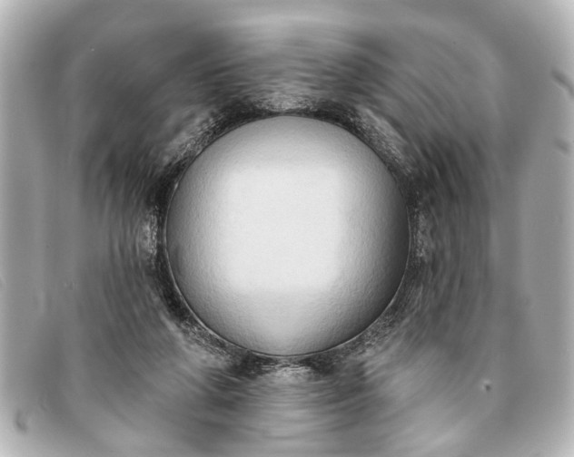 X0000093380210200710251225