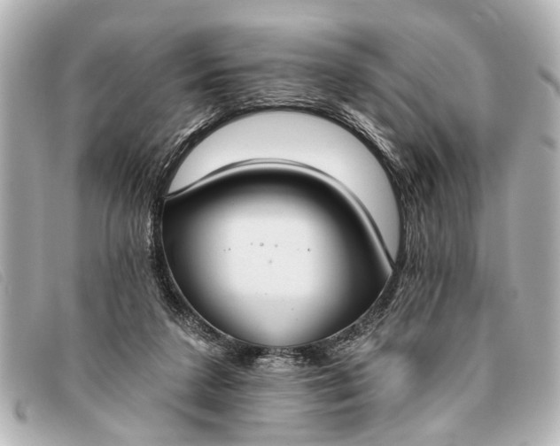 X0000093380211200710251225