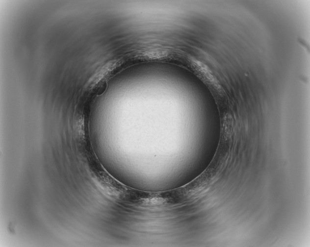 X0000093380212200710251225